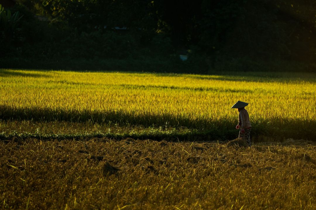 Luang Prabang special offers